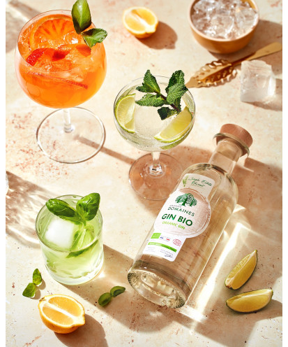 Grands Domaines Gin Bio