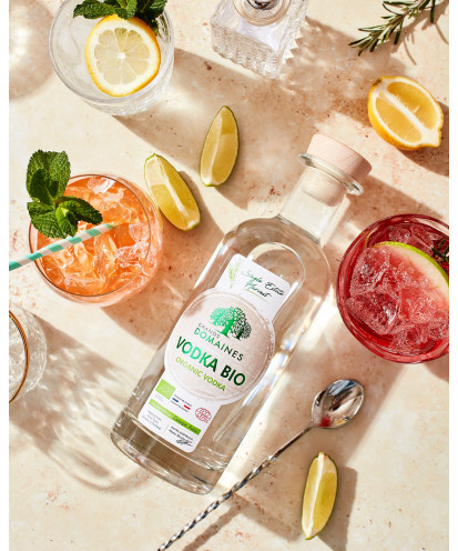Grands Domaines Vodka Bio